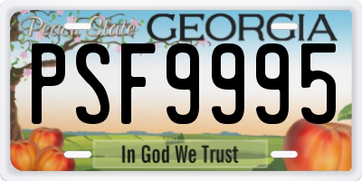 GA license plate PSF9995