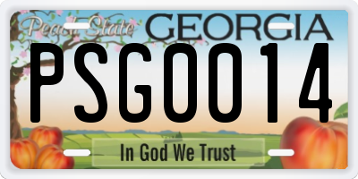 GA license plate PSG0014