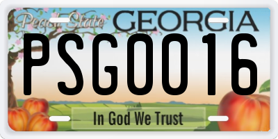 GA license plate PSG0016