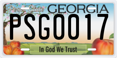 GA license plate PSG0017