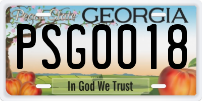 GA license plate PSG0018