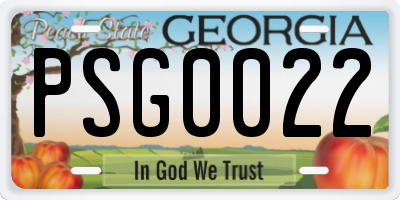 GA license plate PSG0022