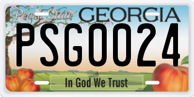 GA license plate PSG0024