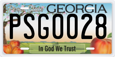 GA license plate PSG0028