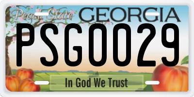 GA license plate PSG0029