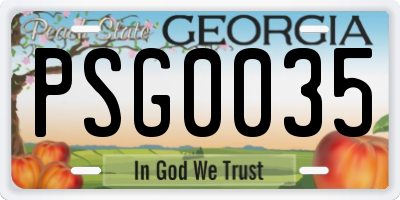 GA license plate PSG0035