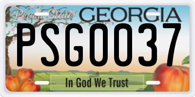 GA license plate PSG0037