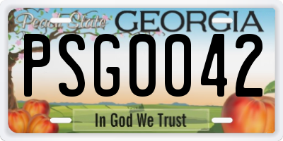 GA license plate PSG0042