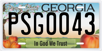 GA license plate PSG0043