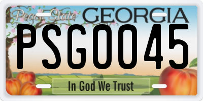 GA license plate PSG0045