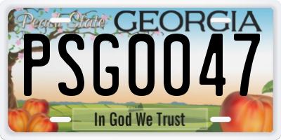 GA license plate PSG0047