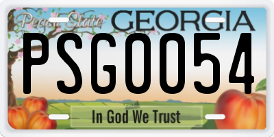 GA license plate PSG0054