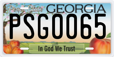 GA license plate PSG0065