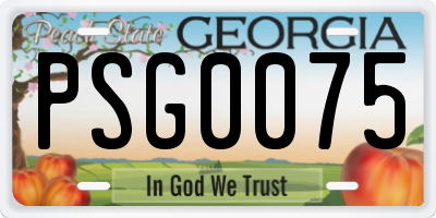 GA license plate PSG0075