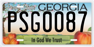 GA license plate PSG0087