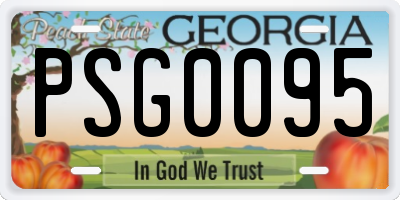 GA license plate PSG0095