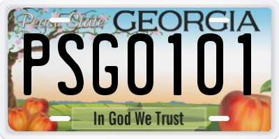 GA license plate PSG0101