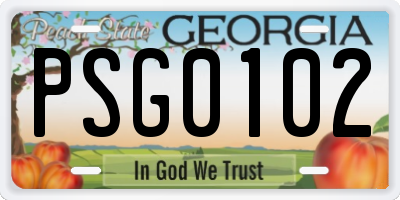 GA license plate PSG0102