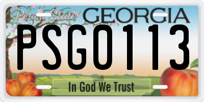 GA license plate PSG0113