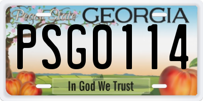 GA license plate PSG0114