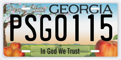 GA license plate PSG0115
