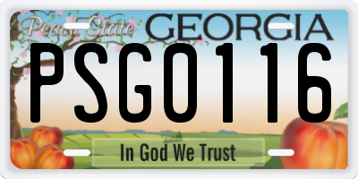 GA license plate PSG0116