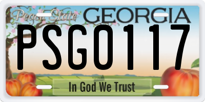 GA license plate PSG0117