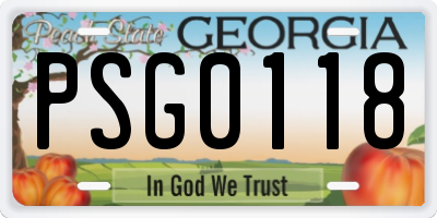 GA license plate PSG0118