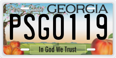 GA license plate PSG0119