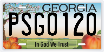 GA license plate PSG0120