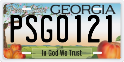 GA license plate PSG0121