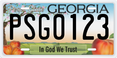 GA license plate PSG0123