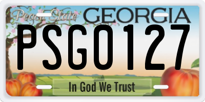 GA license plate PSG0127