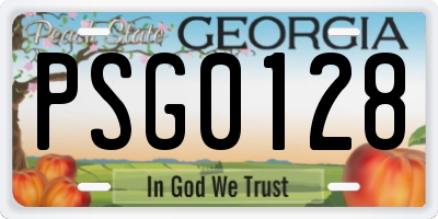 GA license plate PSG0128