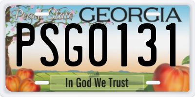 GA license plate PSG0131