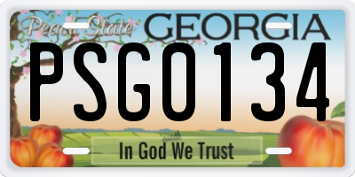 GA license plate PSG0134