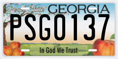 GA license plate PSG0137