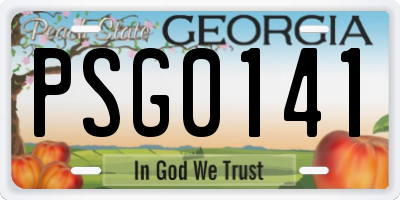 GA license plate PSG0141
