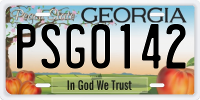 GA license plate PSG0142