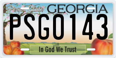 GA license plate PSG0143
