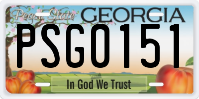 GA license plate PSG0151