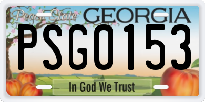GA license plate PSG0153