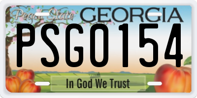 GA license plate PSG0154