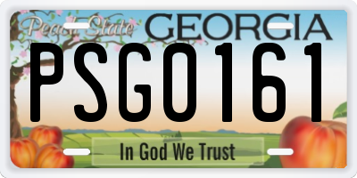 GA license plate PSG0161