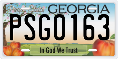 GA license plate PSG0163