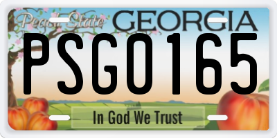 GA license plate PSG0165