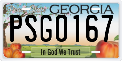 GA license plate PSG0167
