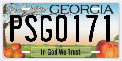 GA license plate PSG0171