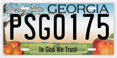 GA license plate PSG0175