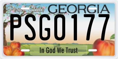 GA license plate PSG0177